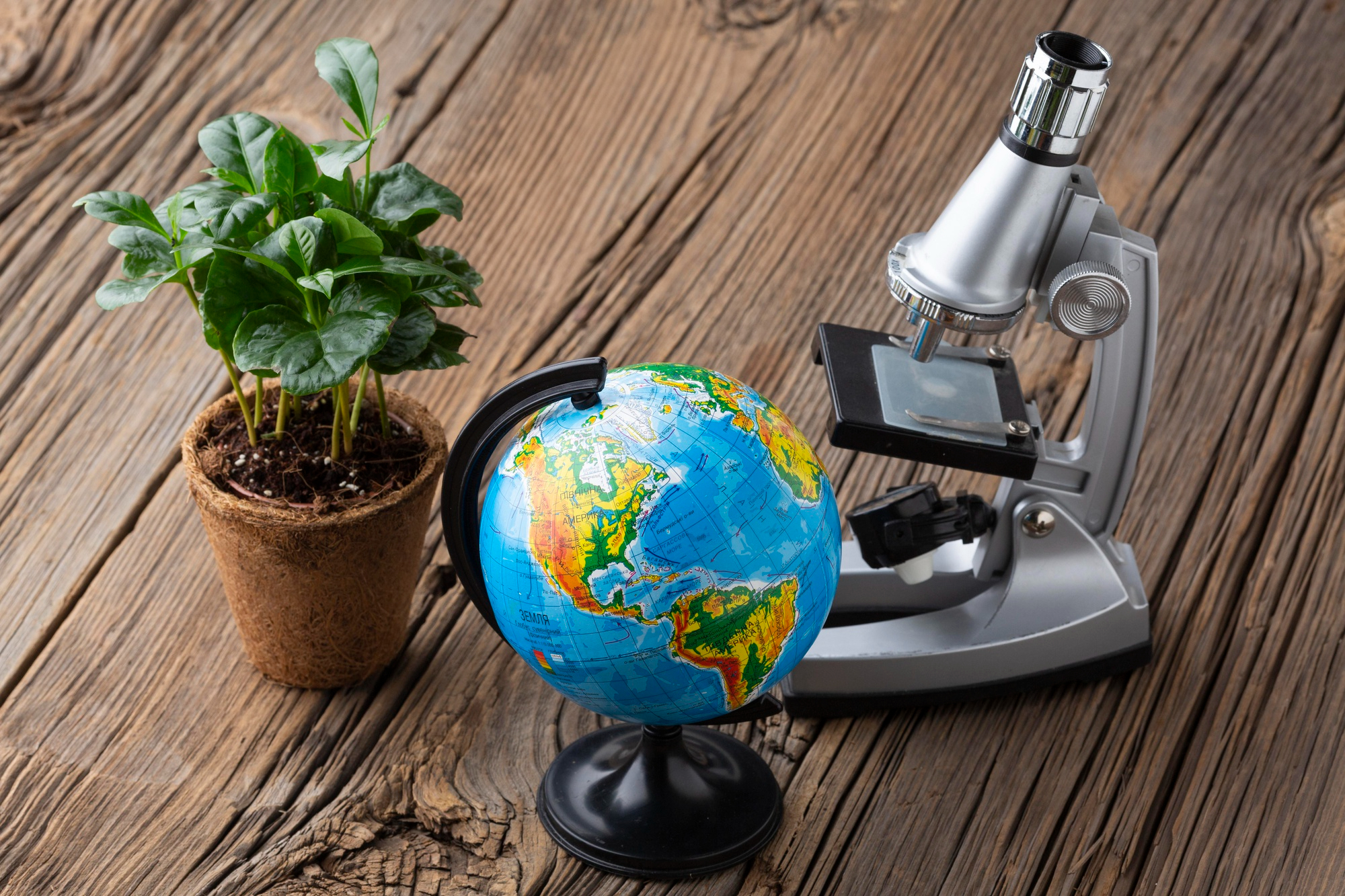 Earth Science Insights